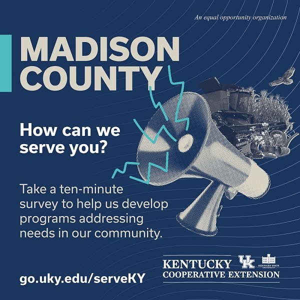 Madison County Community Assessment Survey